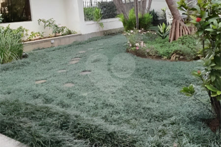 Apartamento á venda no Cambuci de 58 m² com 1 dormitório