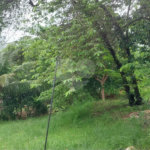 CONDOMÍNIO VALE DAS PALMEIRAS - CASA 3 QTOS + SUITE + PISCINA + GARAGEM 4 CARROS + ENERGIA SOLAR