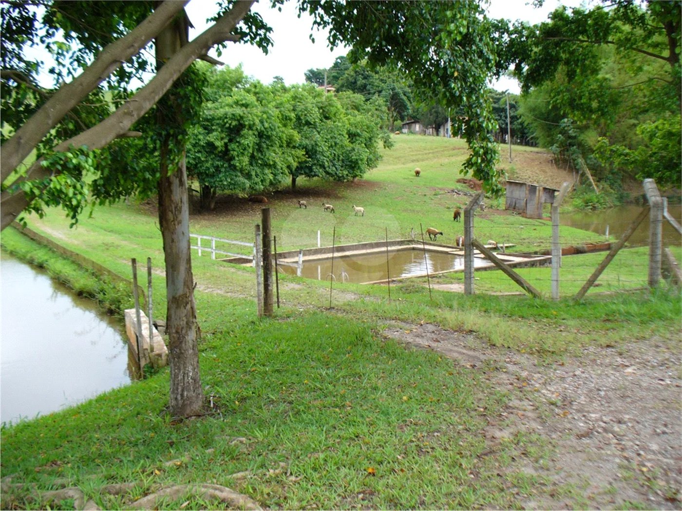 Chácara à venda a poucos minutos do Centro de Piracicaba