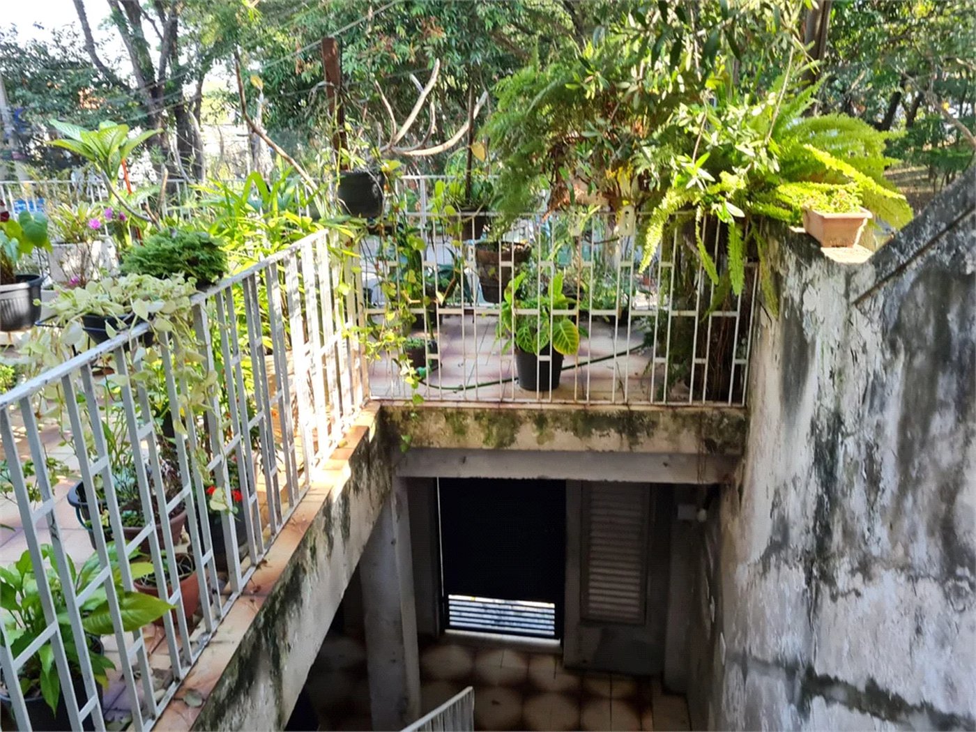Casa à venda com 3 quartos em Jardim Bonfiglioli, São Paulo, SP