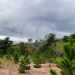 Terreno industrial à venda em Bom Jesus dos Perdões – 20.000m² na Rodovia Dom Pedro I