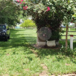Sitio para venda.