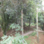 Apartamento com 03 suítes no Alto Da Boa Vista.