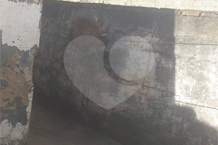 Imóvel para demolição na Vila Izabel