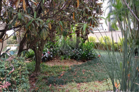 Apartamento 2 quartos mobiliado 1 vaga para locação no Paraíso