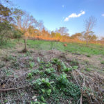 Terreno em Atibaia com 415 metros e pronto para construir no bairro Jardim Paulista, aceita financiamento