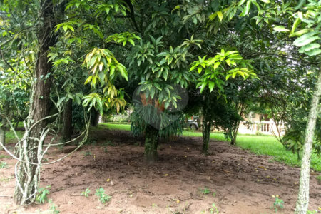 Chácara a venda no Residencial Planalto Serra Verde em Itirapina
