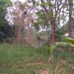 Chácara para venda no Aracê de Santo Antonio I