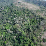FAZENDA FORTALEZA, Caldas - MG