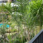 Apartamento a venda no Bras em frente ao Metro