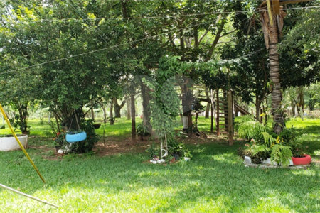 Sitio para venda.