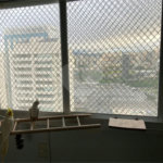 DOMO LIFE | 123m² DE SOFISTICAÇÃO, CONFORTO E EXCLUSIVIDADE!