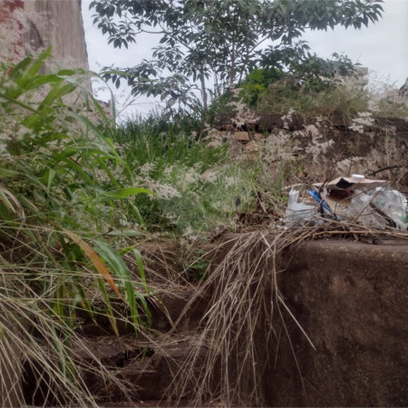 Terreno com 421 m², localizado no centro de São Carlos