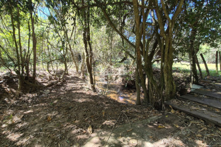 Sítio à venda com 7 alqueires, em Serra do Capetinga, Itapeva - MG