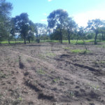 Terreno com 2.012,00 m² .