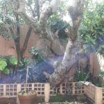 Casa Térrea à venda ou para alugar com 4 quartos, sendo 1 suíte, em Jardim Aeroporto, São Paulo, SP