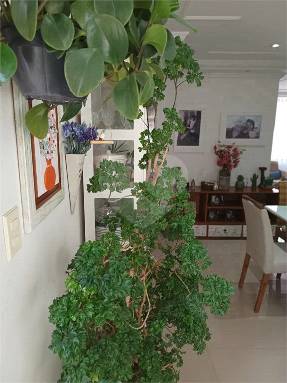 APARTAMENTO LINDO TODO REFORMADO MOOCA