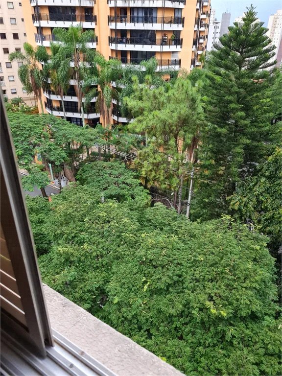 Apartamento na Vila Andrade rodeado de linda vista verde