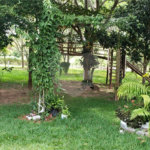 Sitio para venda.