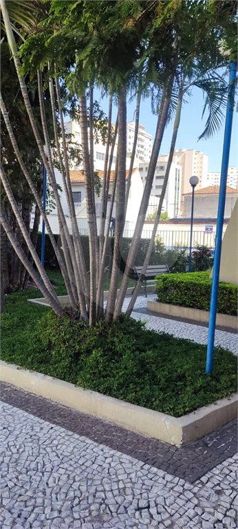 Apartamento à venda com 40m² - Cambuci.