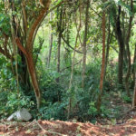 TERRENO DE 500 M² EM ATIBAIA PRONTO PARA CONSTRUIR, AVALIA PERMUTA COM CARRO