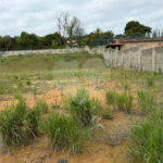OPORTUNIDADE IMPERDÍVEL TERRENO PLANO COM 5000 M²