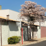 Casa Exclusiva com Pé-Direito Alto e Área Gourmet no Jardim Paraíso