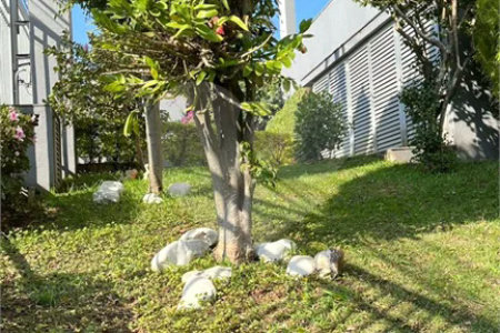 Apartamento de 2 quartos à venda na Penha