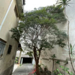 Sobrado residencial na Mooca com 90 m²