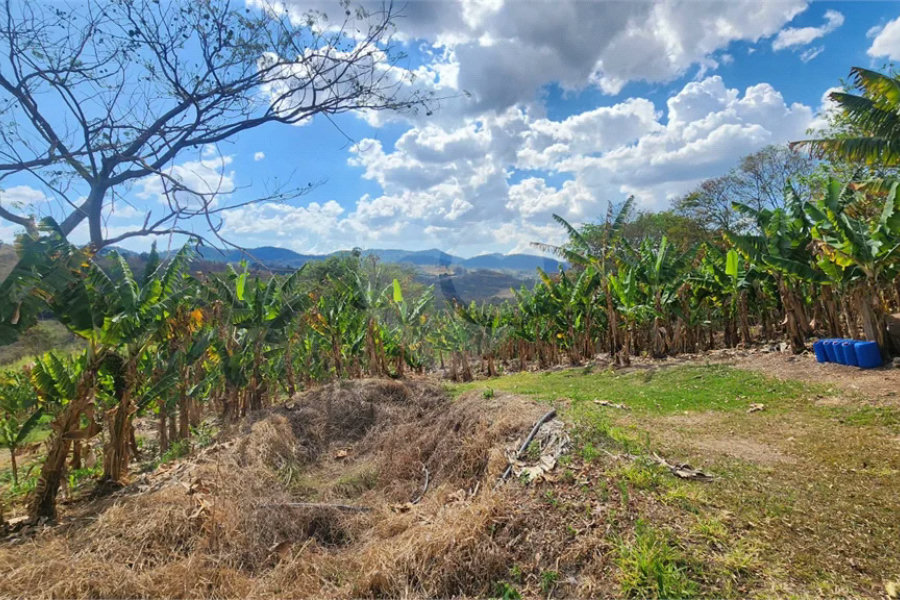 Sítio de 31 mil m² à VENDA em Àguas da Prata/SP