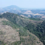 FAZENDA FORTALEZA, Caldas - MG