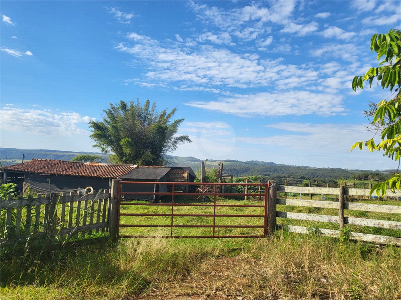 SÍTIO A VENDA - BELA VISTA