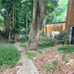 Vendo Terreno de 290m2 rua do Horto para sua casa ou investimento
