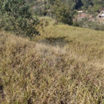 Terreno no Bairro Monterrey