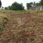 Terreno com 515,00 m² .