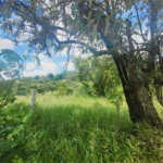 Lote à Venda – Oportunidade! 1.000 m² – Recanto Campestre Internacional de Viracopos (Gleba 4) – Indaiatuba/SP