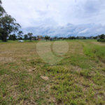 Loteamento Residencial no Condomínio Vila Pinhal do Broa.