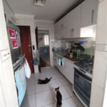 Apartamento à venda com 2 quartos, sendo 1 suíte, em Tucuruvi, São Paulo, SP