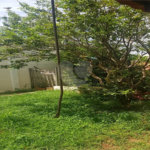Sobrado à Venda no Parque Fehr – 3 Dormitórios e Área Gourmet em Rua Tranquila
