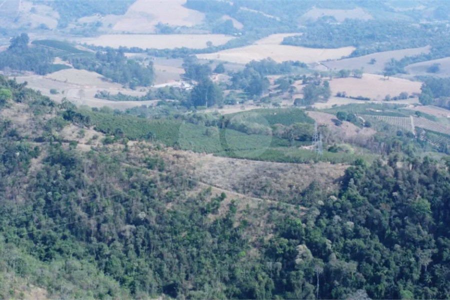FAZENDA FORTALEZA, Caldas - MG