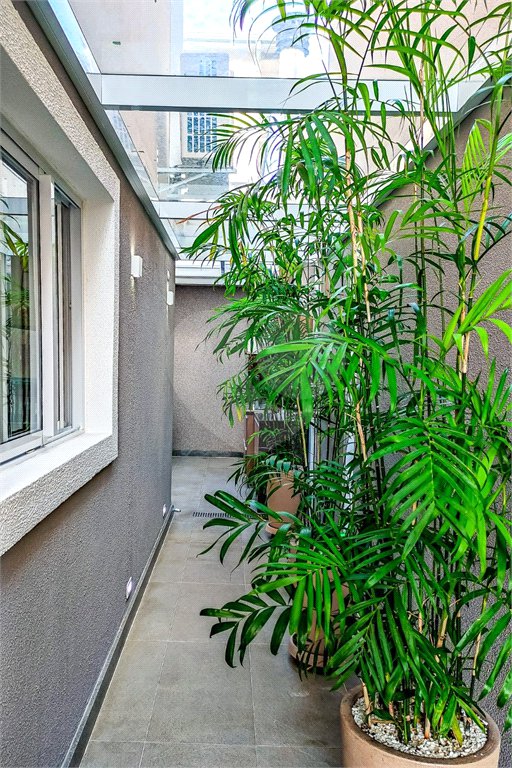 Casa à venda com 3 suítes no condomínio Residencial Paineiras, São Paulo - SP