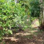 Terreno à venda no Jardim dos Pinheiros, Atibaia