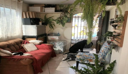 Terreno grande com 2 casas em São Paulo! Casas bem arejadas.