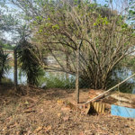 Chácara dos Sonhos à Venda – São Carlos/SP – Recreio Campestre