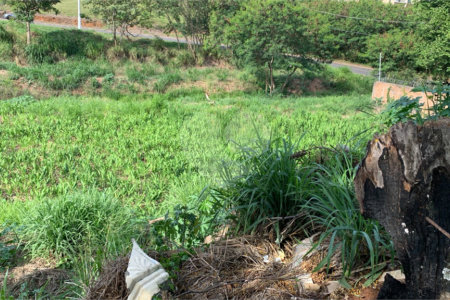 Terreno de 1.150m² no Jardim Gardênia Ideal para Casa de Campo em Atibaia