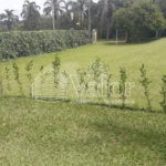 Chácara com 2.400m²