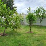 Casa à venda no Condomínio Jardim Primavera – Luxo, Espaço e Exclusividade em Louveira