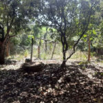 Sitio São João - Km 258