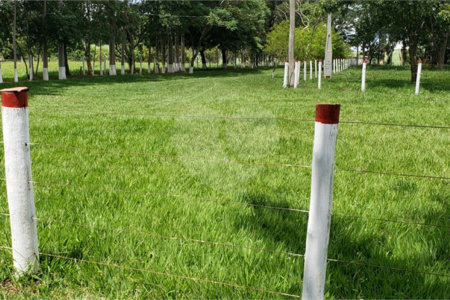 Sitio para venda.