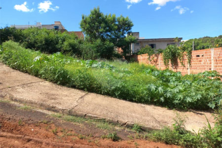 Terreno com 305,82 m² .